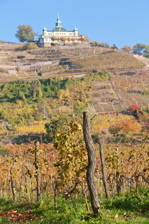 Radebeuler Weingut mit Spitzhaus