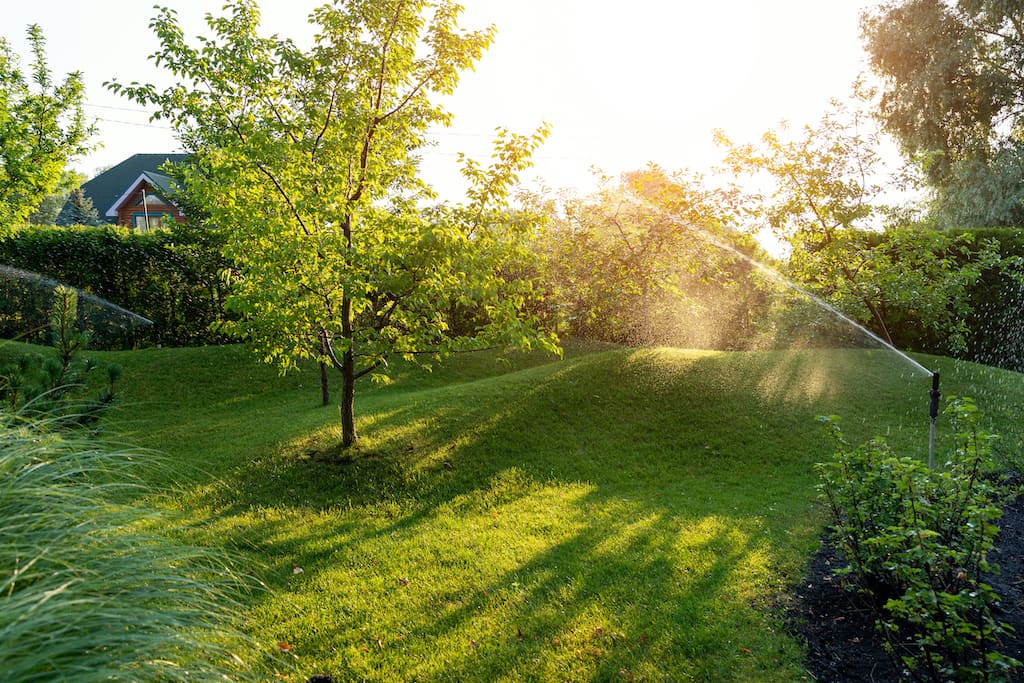 Landschaftsgestaltung mit Obstgarten 